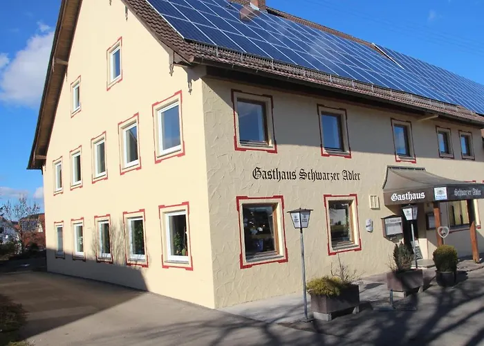 Schwarzer Adler 3*